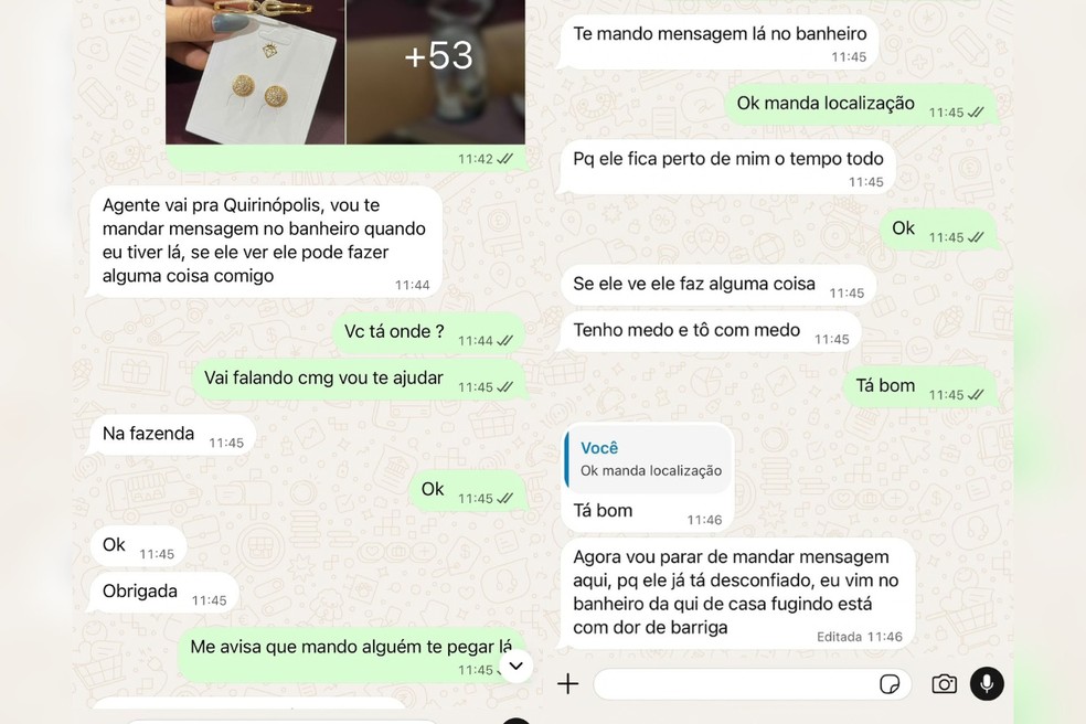 Conversa entre escriv&atilde; da PC e v&iacute;tima de viol&ecirc;ncia dom&eacute;stica &mdash; Foto: Pol&iacute;cia Civil/Divulga&ccedil;&atilde;o