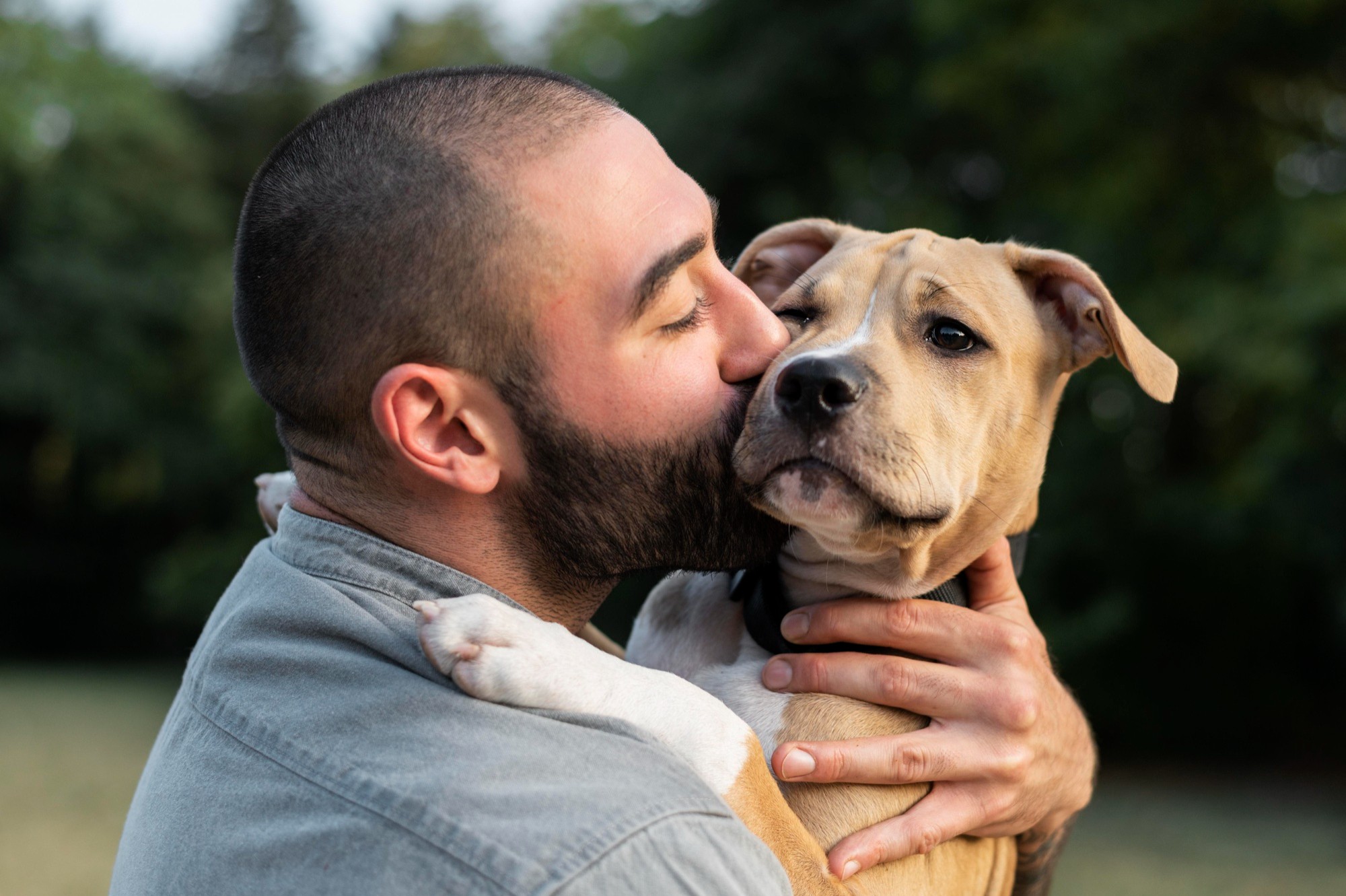 Pesquisas indicam que cães e seus tutores podem ter traços semelhantes de personalidade