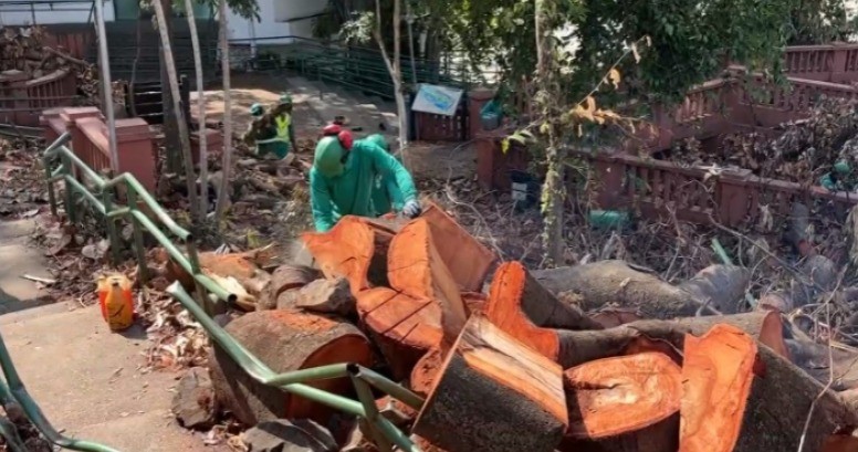 Trabalho de limpeza no Parque do Mirante deve durar 40 dias e Aquário de Piracicaba segue fechado após temporal