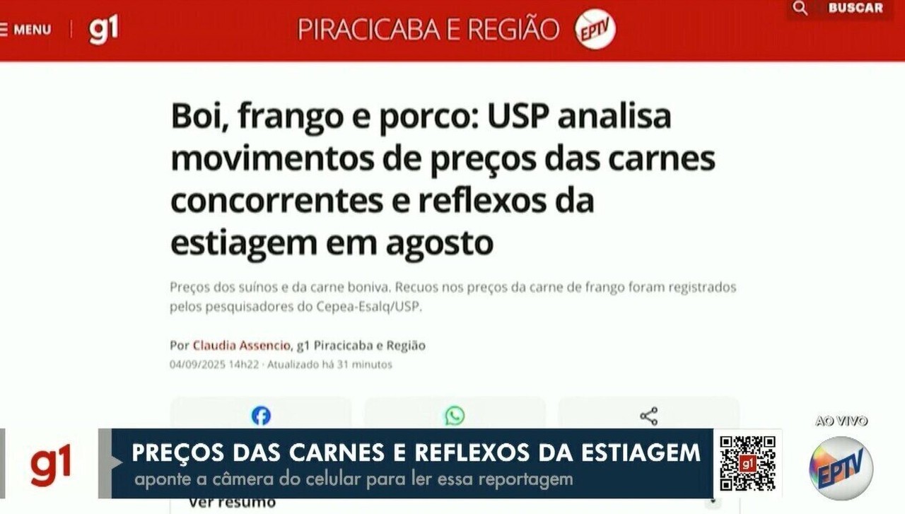 Exportação brasileira de carne de porco cresce em 2025; veja principais destinos dos embarques