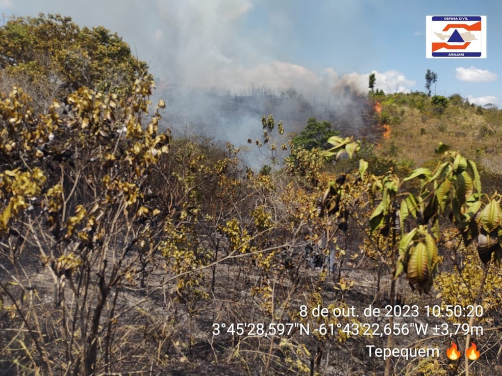 Incêndio atinge vegetação da serra do Tepequém, município de Amajarí, Norte de Roraima — Foto: Reprodução/Defesa Civil do Amajarí