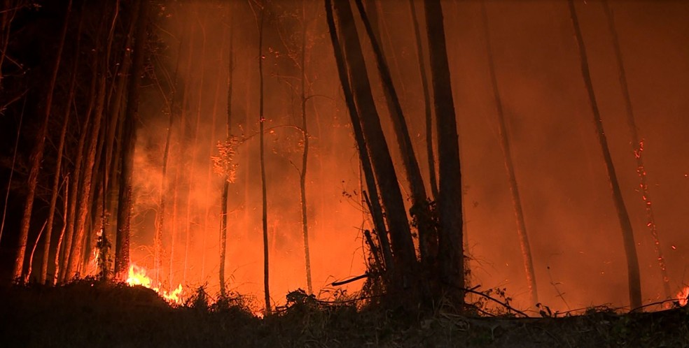 Incêndio no Pico das Cabras em 2024