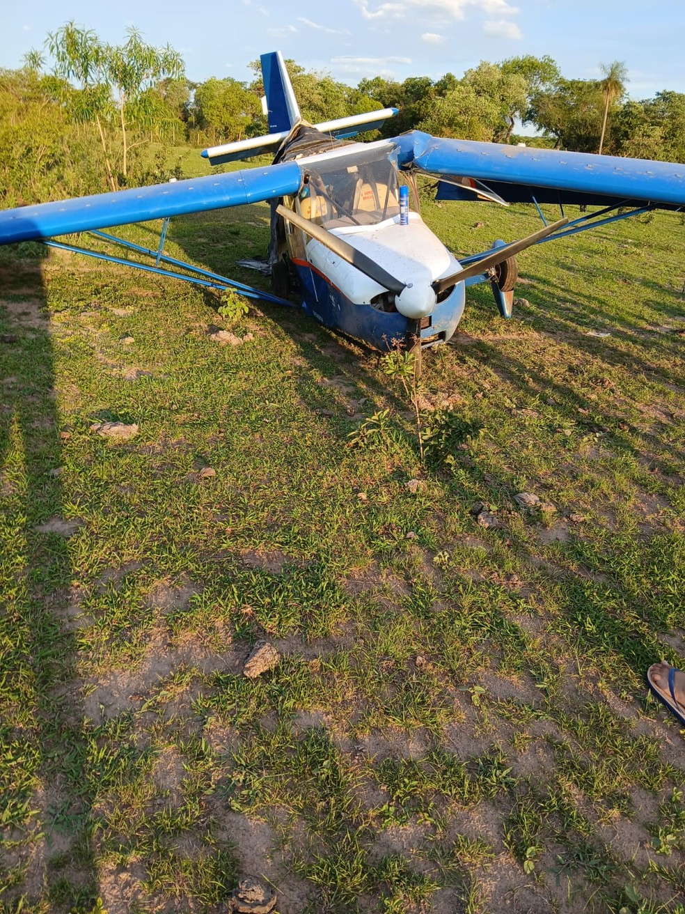 Avião que fez pouso forçado em Bela Vista (MS) — Foto: Redes Sociais/Reprodução
