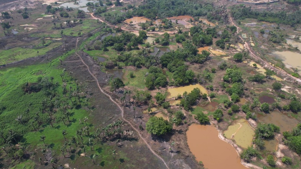 Amazonas esteve em emergência ambiental por conta de queimadas. — Foto: William Duarte/Rede Amazônica