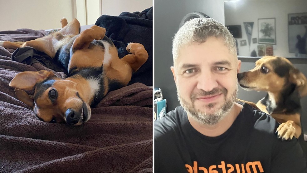 Tutor transforma pet em personagem de história em quadrinhos e protagonista de livro em Marília (SP) — Foto: Arquivo pessoal