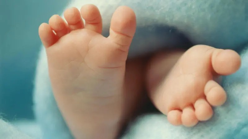 Os bebês com DNA de 3 'pais' nascidos sem doença hereditária