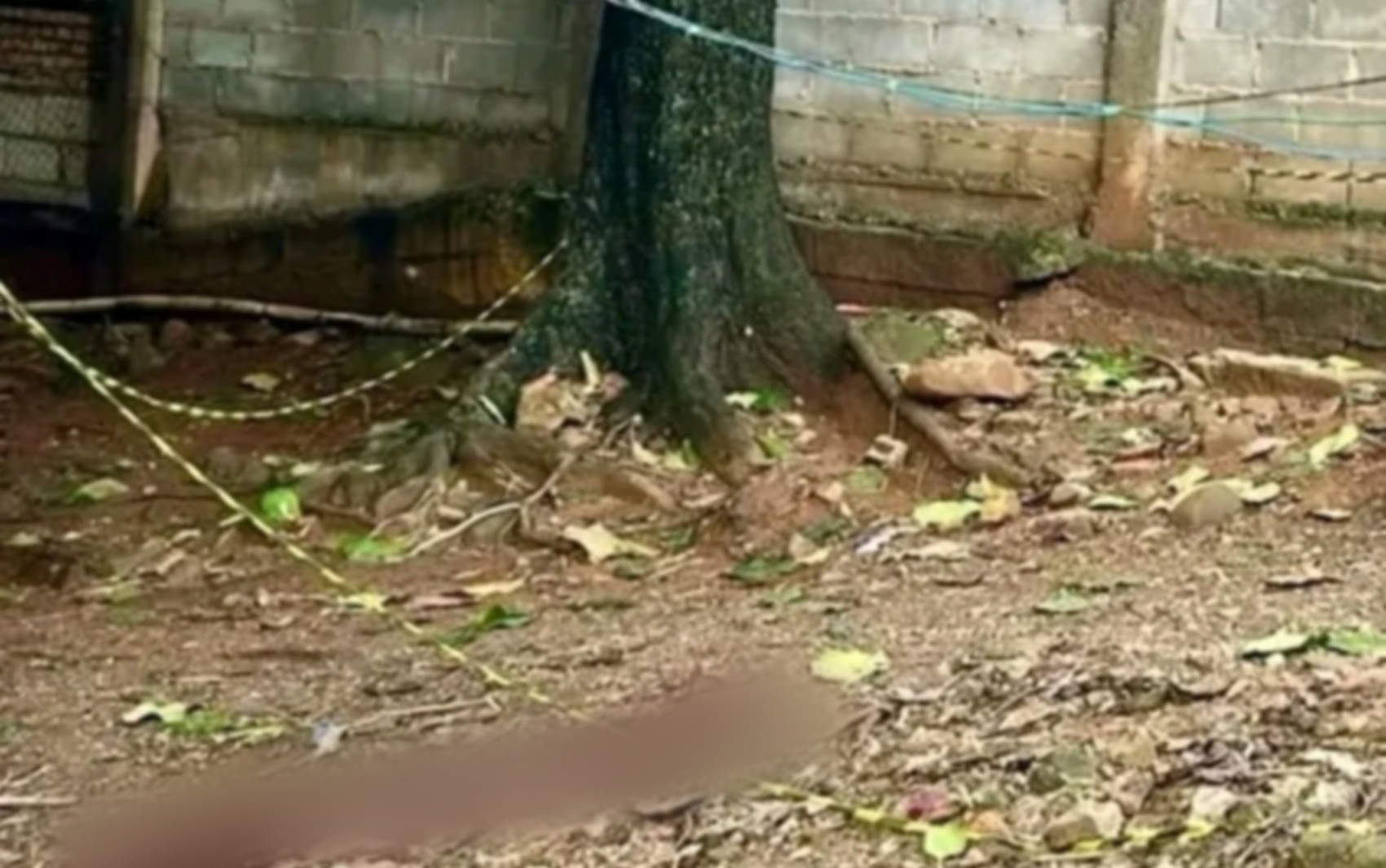 Homem é encontrado morto com perfuração na cabeça em terreno atrás de borracharia em Andradas, MG