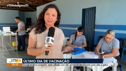 Campanha de vacinação contra raiva termina hoje em Gurupi