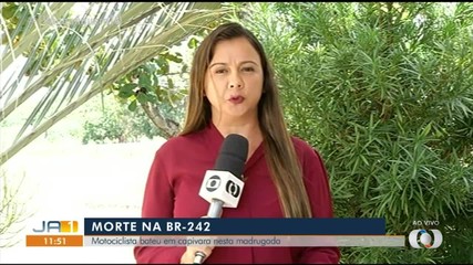 Motociclista morre após bater em capivara na BR-242 na madrugada desta sexta-feira (8)