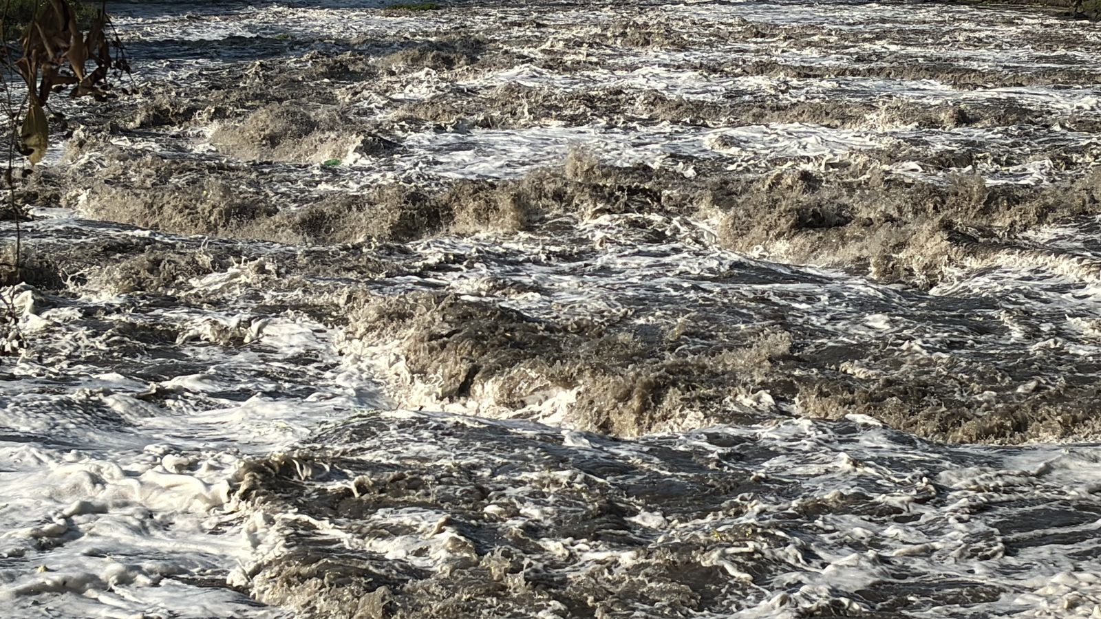 Saiba por que água do Rio Piracicaba fica escura após chuvas e entenda riscos à vida aquática