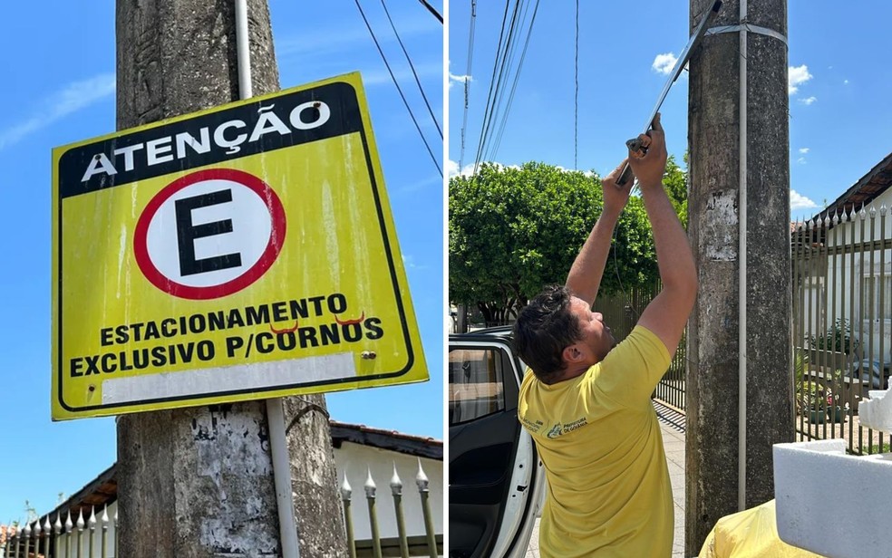 Placa exclusiva para 'cornos' é retirada em rua de Goiânia, Goiás — Foto: Michel Gomes/g1 Goiás e Divulgação/SMM