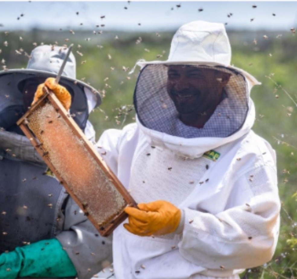 Joaquim, apicultor — Foto: Divulgação