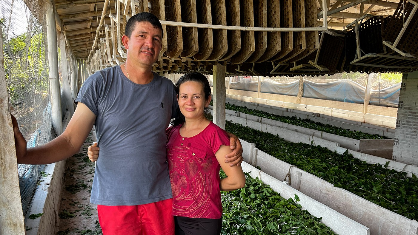 O fio que une o campo à alta costura