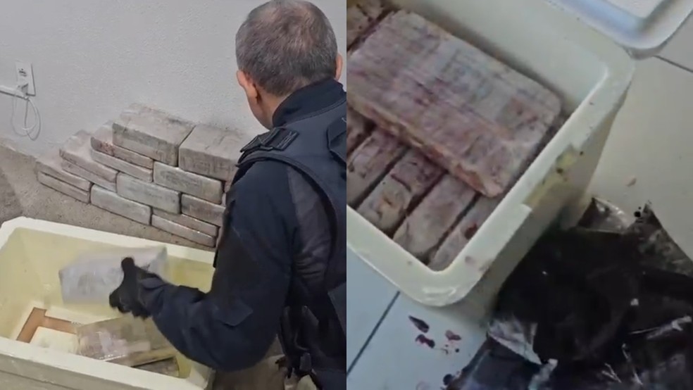 PRF encontra cocaína em caixas que transportavam açaí no Ceará. — Foto: Divulgação