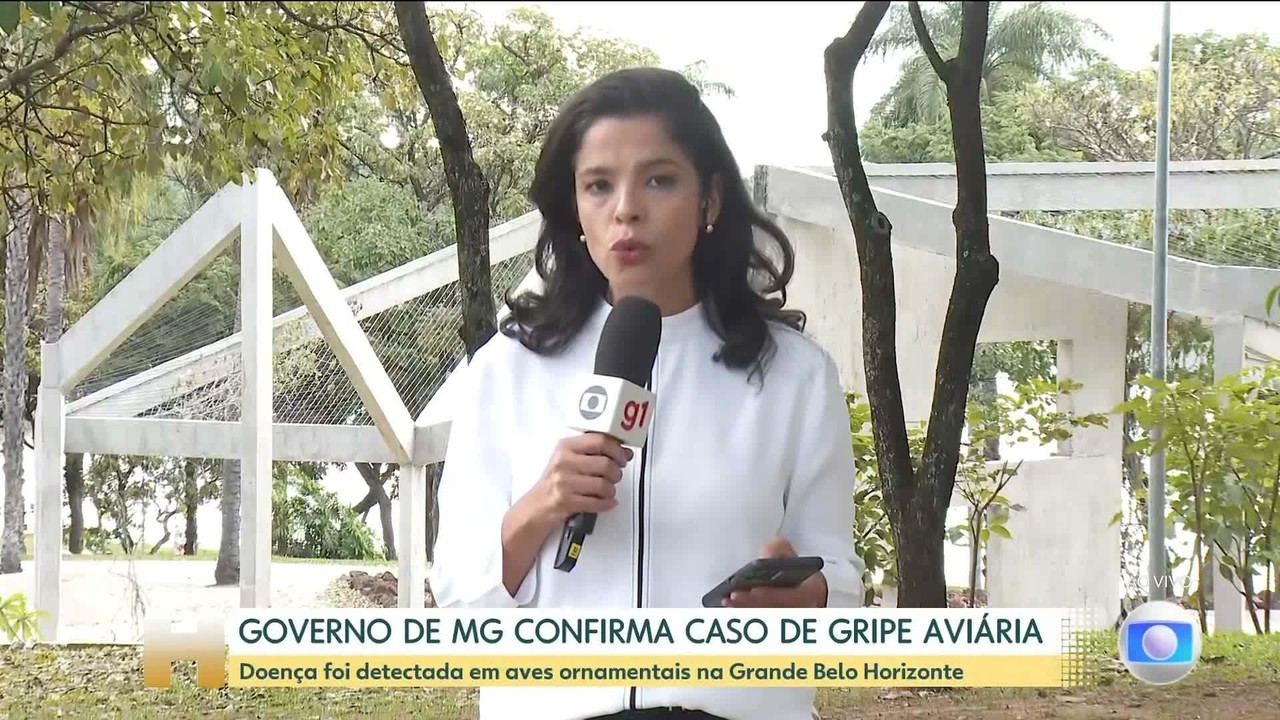Ministro da Agricultura assegura que foco de gripe aviária foi contido e pede 'paciência' no Senado