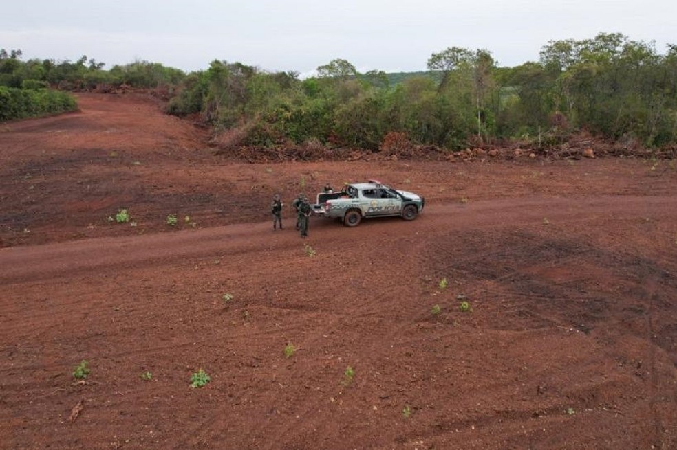 Ação da Operação Protetor dos Biomas, em Palmeiras do Tocantins — Foto: Ascom BPMA/Divulgação