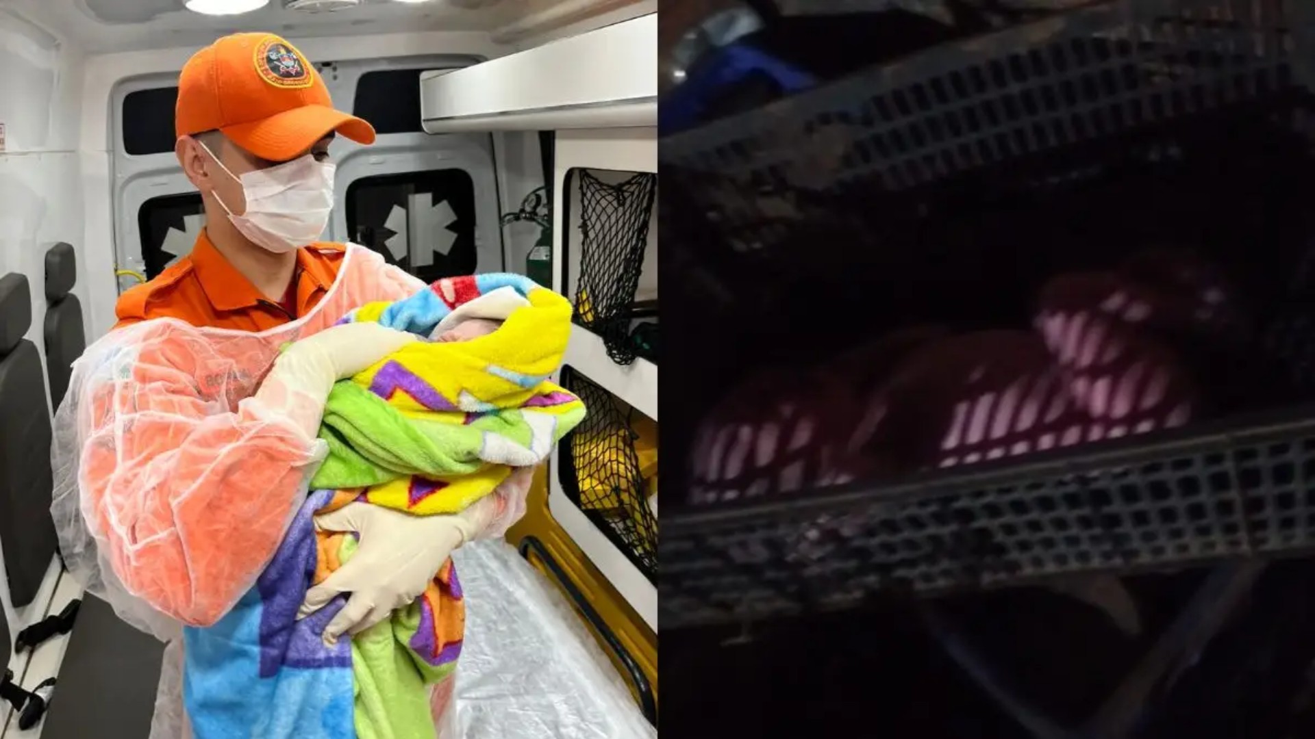 Recém-nascido é encontrado abandonado em caixa de frutas nos fundos de casa em Aquidauana