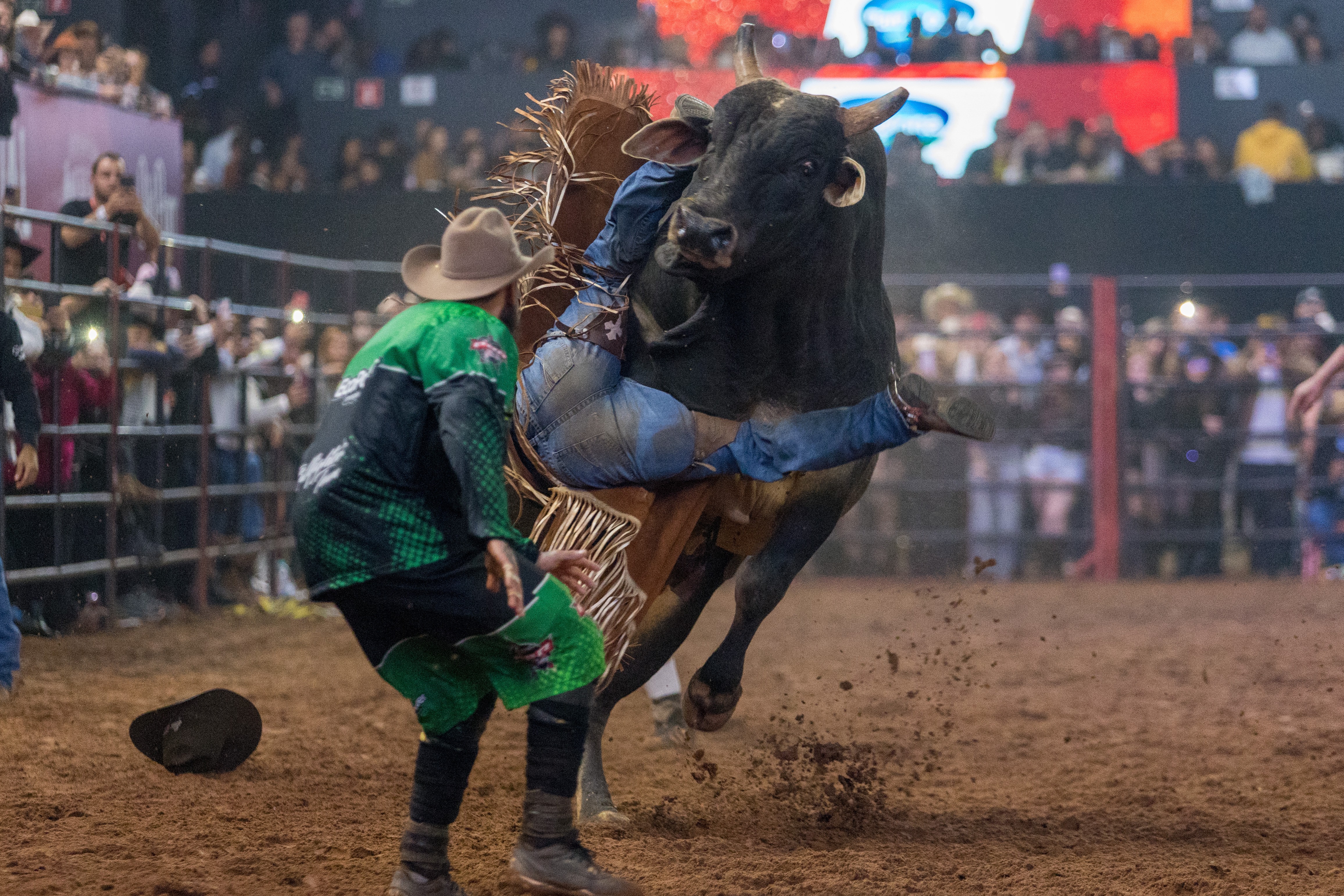 Rijproeven op het Americana Cowboy Festival — Foto: Thomaz Marostegan/g1