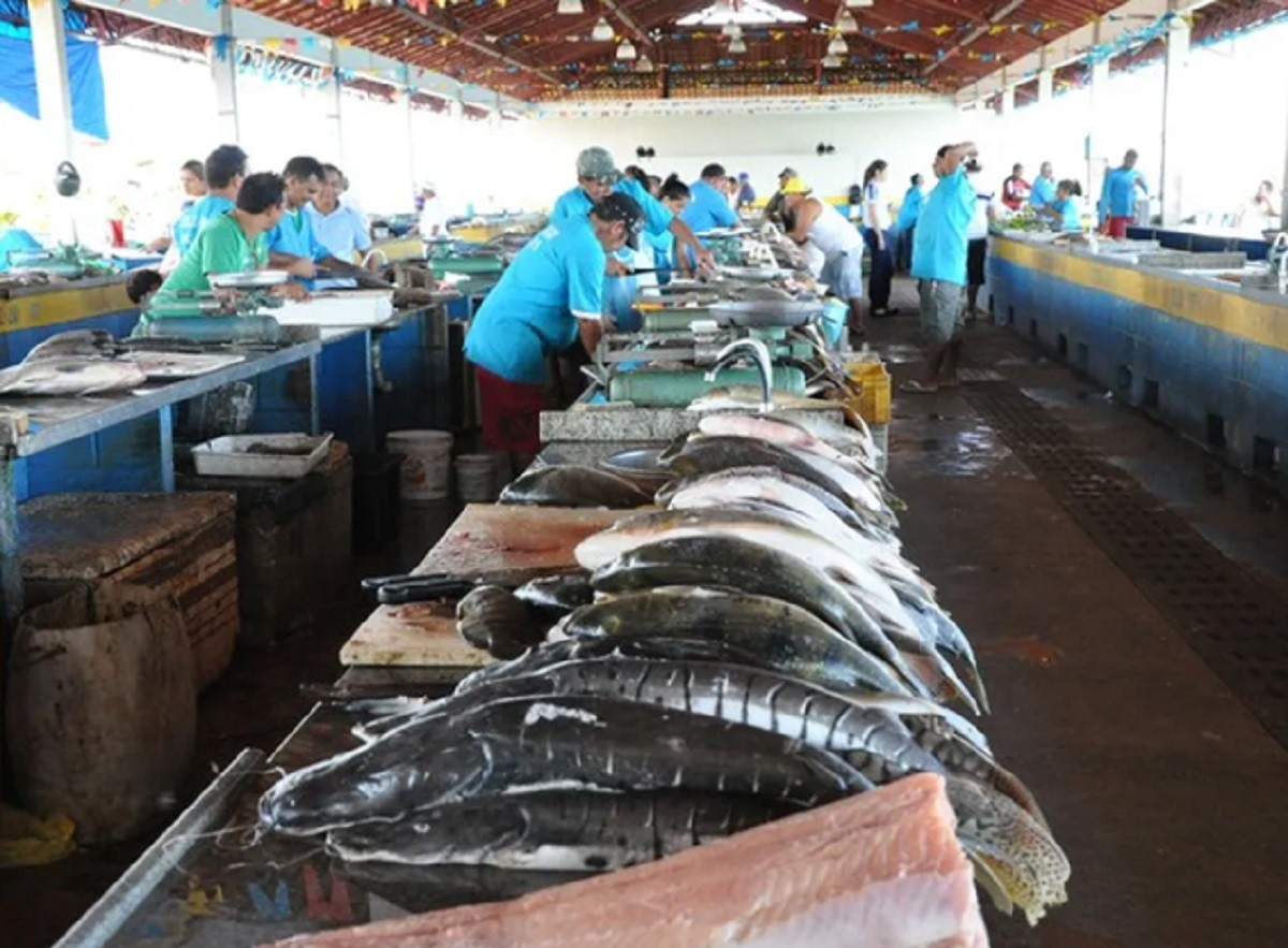 Feira do Pescado de Santarém receberá reforma e ampliação de R$ 2,3 milhões
