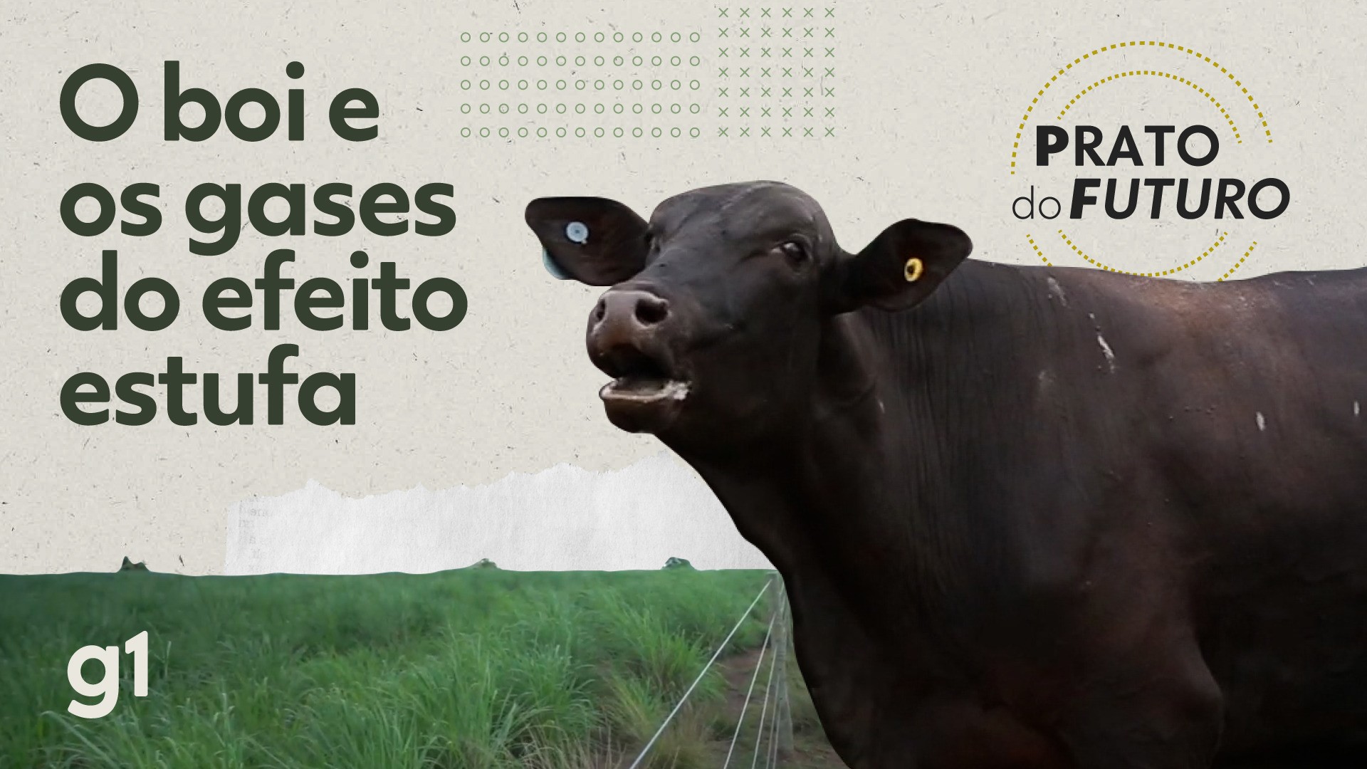 Vídeos: Prato do Futuro 
