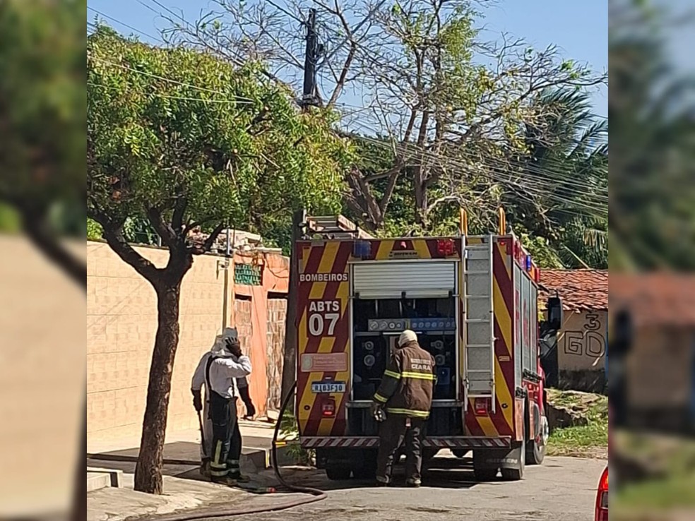 Bombeiros resgatam vítimas de ataque de abelhas no Bairro Parangaba, em Fortaleza. — Foto: Arquivo pessoal