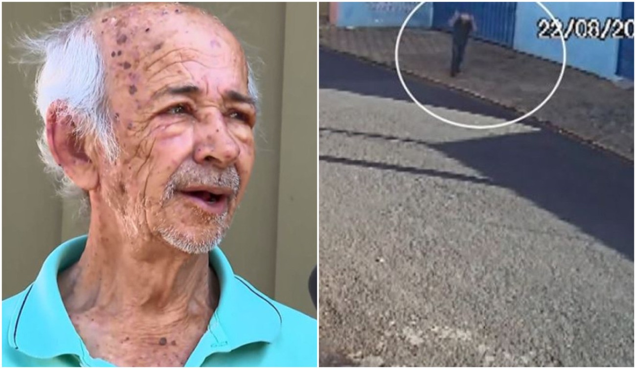 VÍDEO mostra ataque de abelhas que deixou aposentado com mais de 500 picadas no interior de SP
