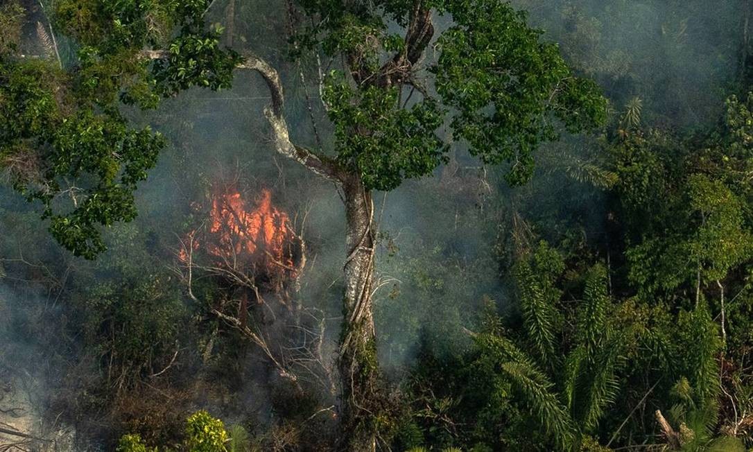Pará registra 115 focos de calor e fica entre os estados com mais incêndios florestais no país