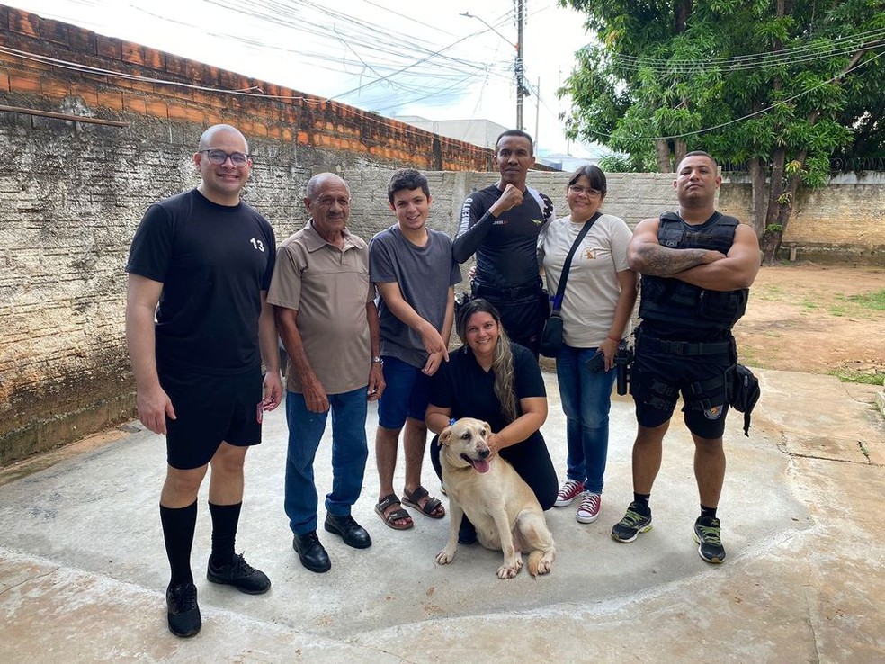 Cadela deixa o trabalho policial no Piauí e passa a auxiliar pessoas em tratamento de saúde — Foto: Divulgação