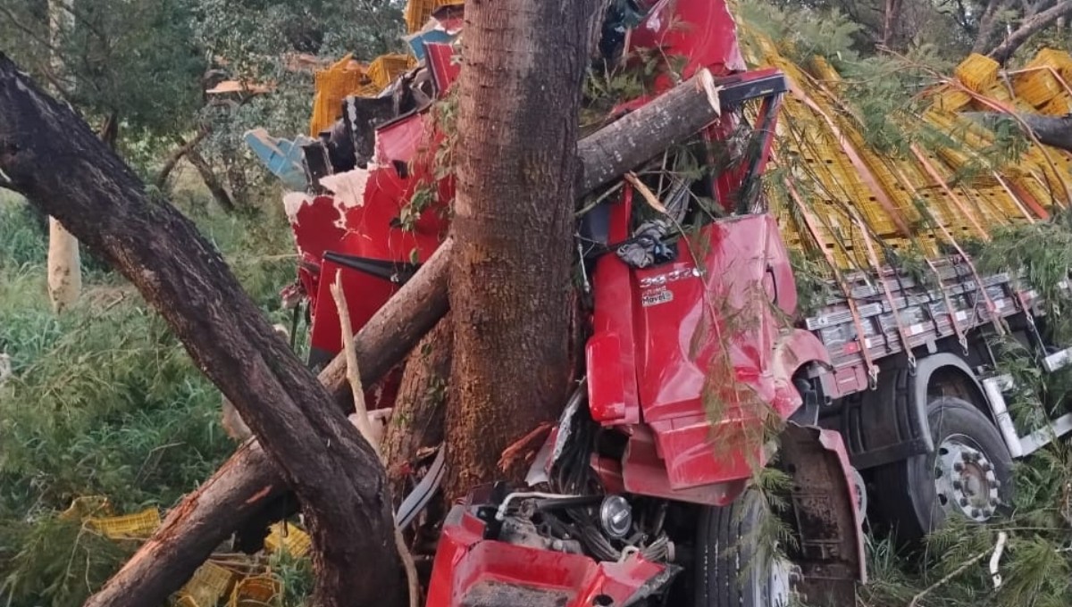 Caminhoneiro morre ao bater em árvore às margens da BR-135, em Engenheiro Navarro