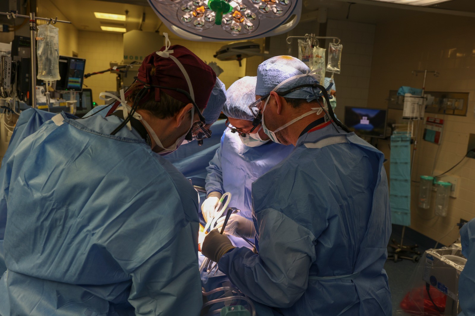Primeiro paciente a receber rim de porco em transplante deixa hospital: 'grande emoção', diz médico brasileiro