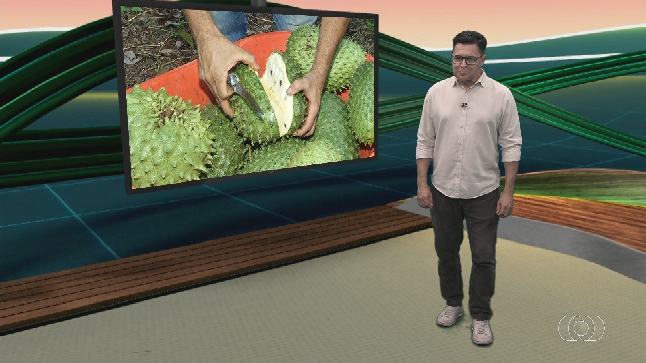 VÍDEOS: Jornal do Campo de domingo, 17 de março de 2024