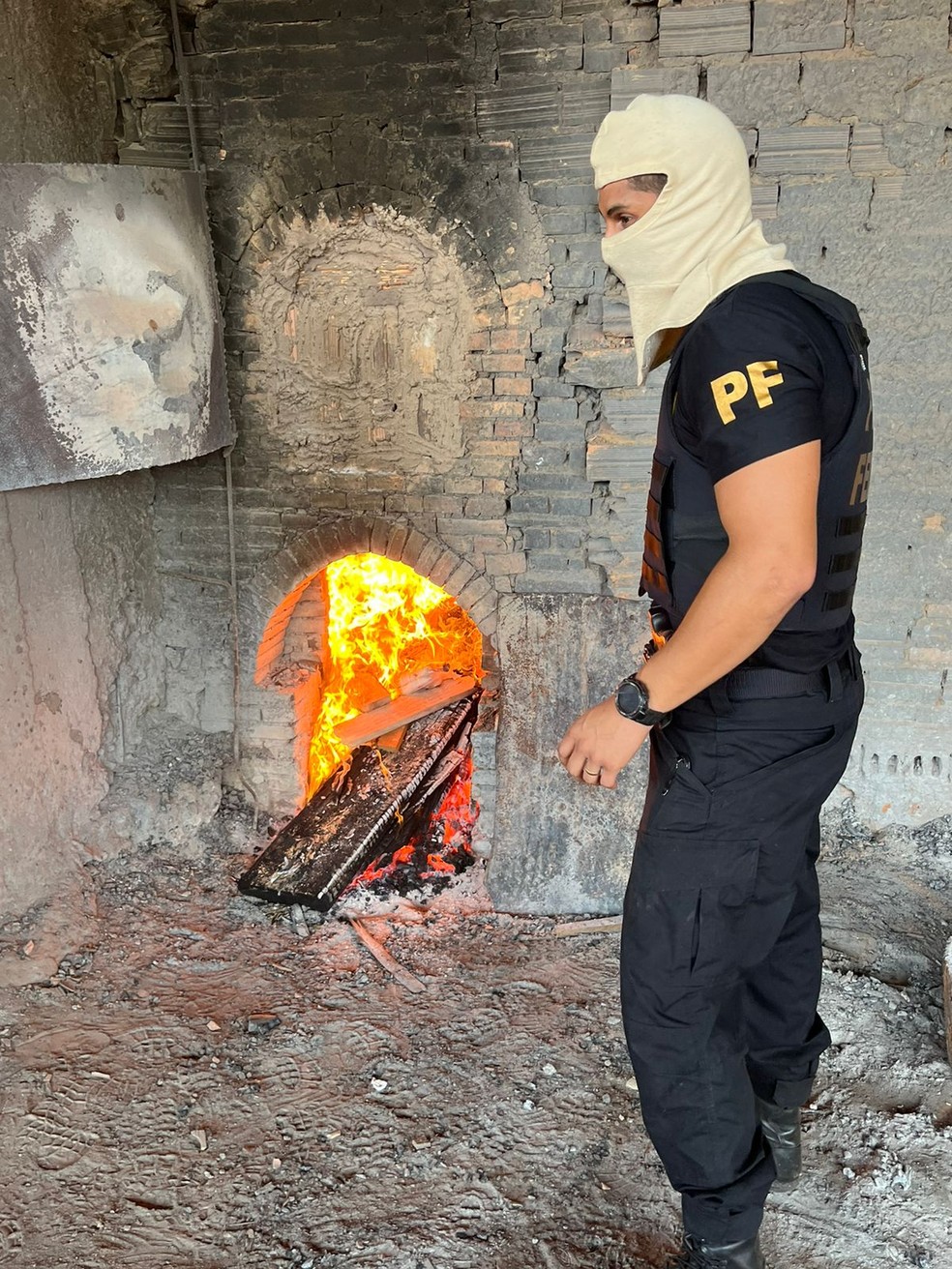 Mais de 100kg de drogas apreendidas em dois meses em Guajará-Mirim foram incineradas — Foto: Polícia Federal/Divulgação