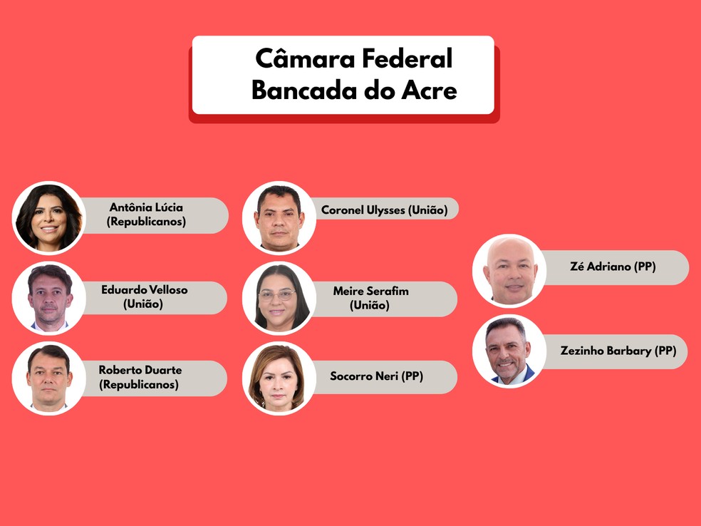 Bancada do Acre na C&acirc;mara dos Deputados &mdash; Foto: Arte g1