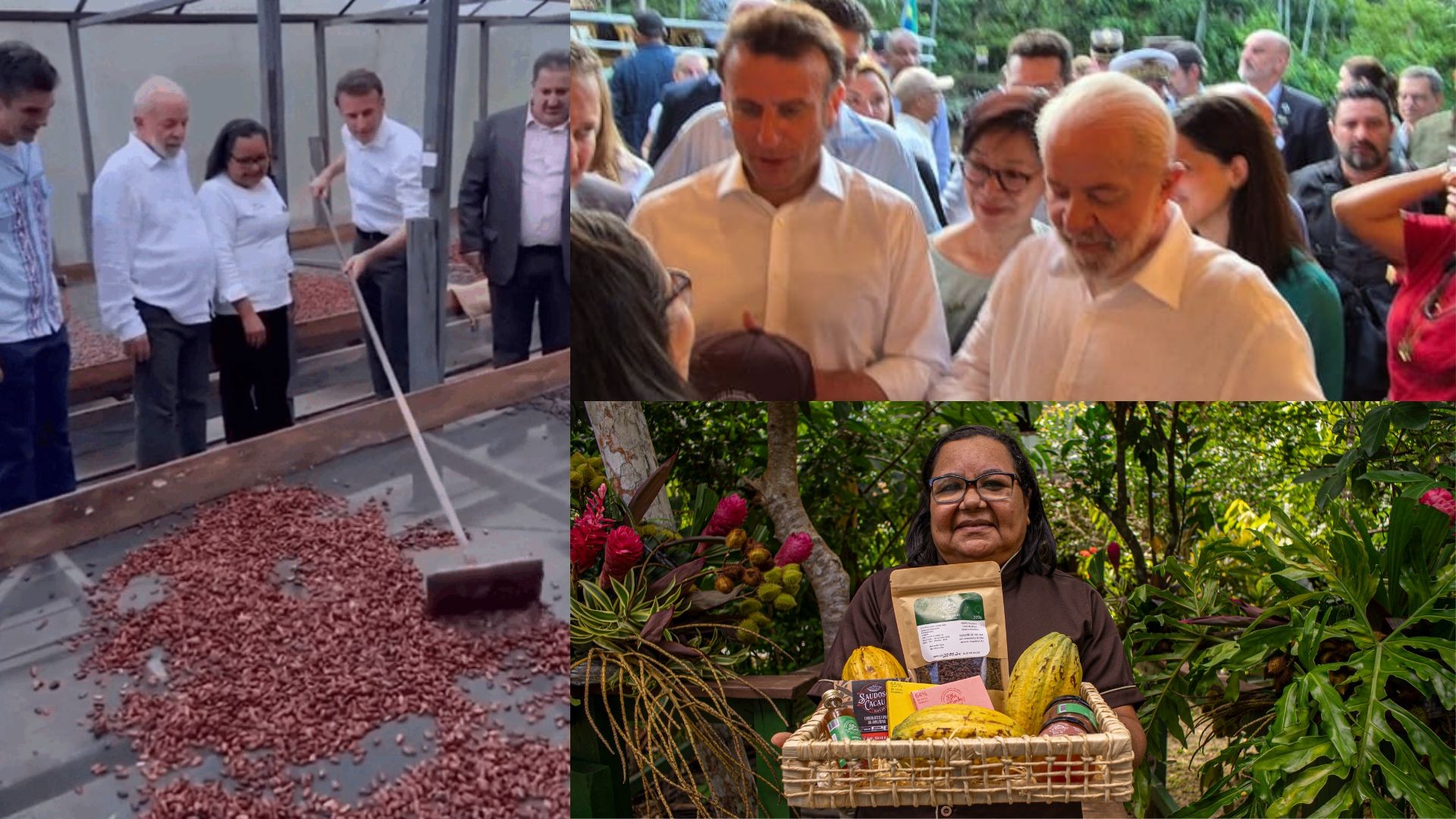 Páscoa com gosto de Amazônia: conheça os chocolates selvagens da Ilha do Combu que Macron levou para França