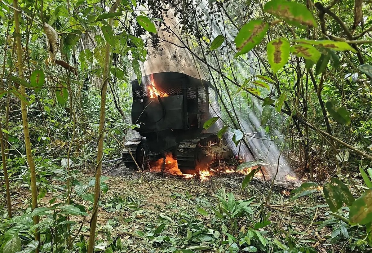 Floresta devastada: fiscalização flagra desmatamento oculto e trilhas para retirada de madeira nobre no Pará