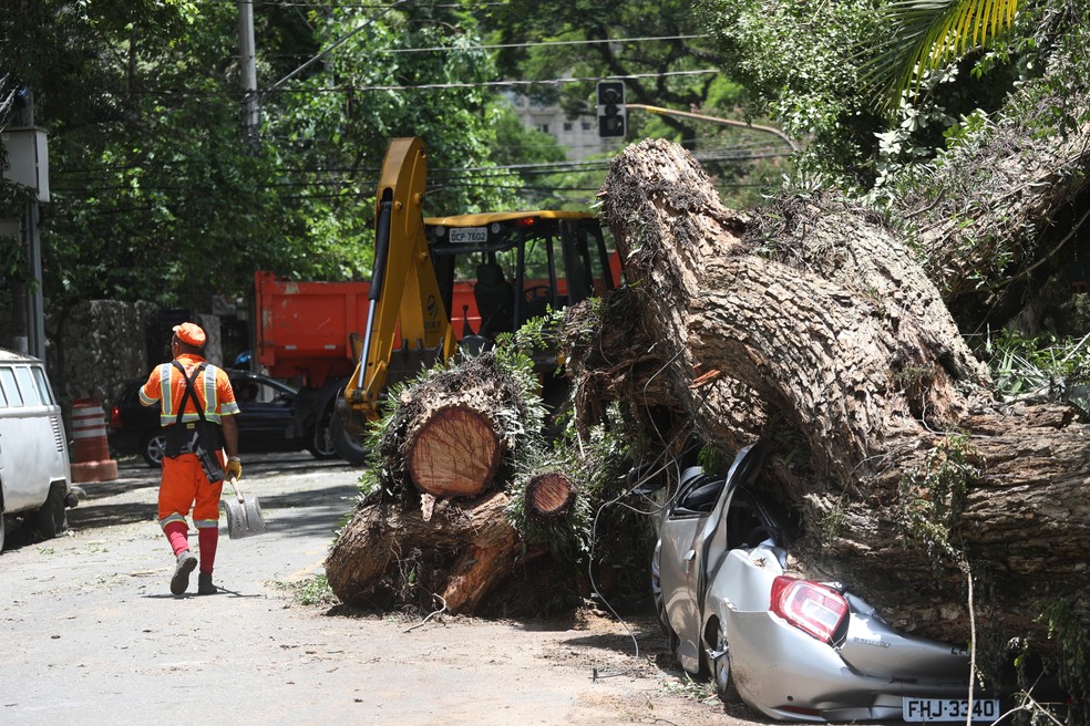 Funcionários da Prefeitura de São Paulo trabalham na remoção de árvores derrubas nos temporais dos últimos dois dias no bairro de Vila Nova Conceição, Zona Sul de SP — Foto: RENATO S. CERQUEIRA/ATO PRESS/ESTADÃO CONTEÚDO