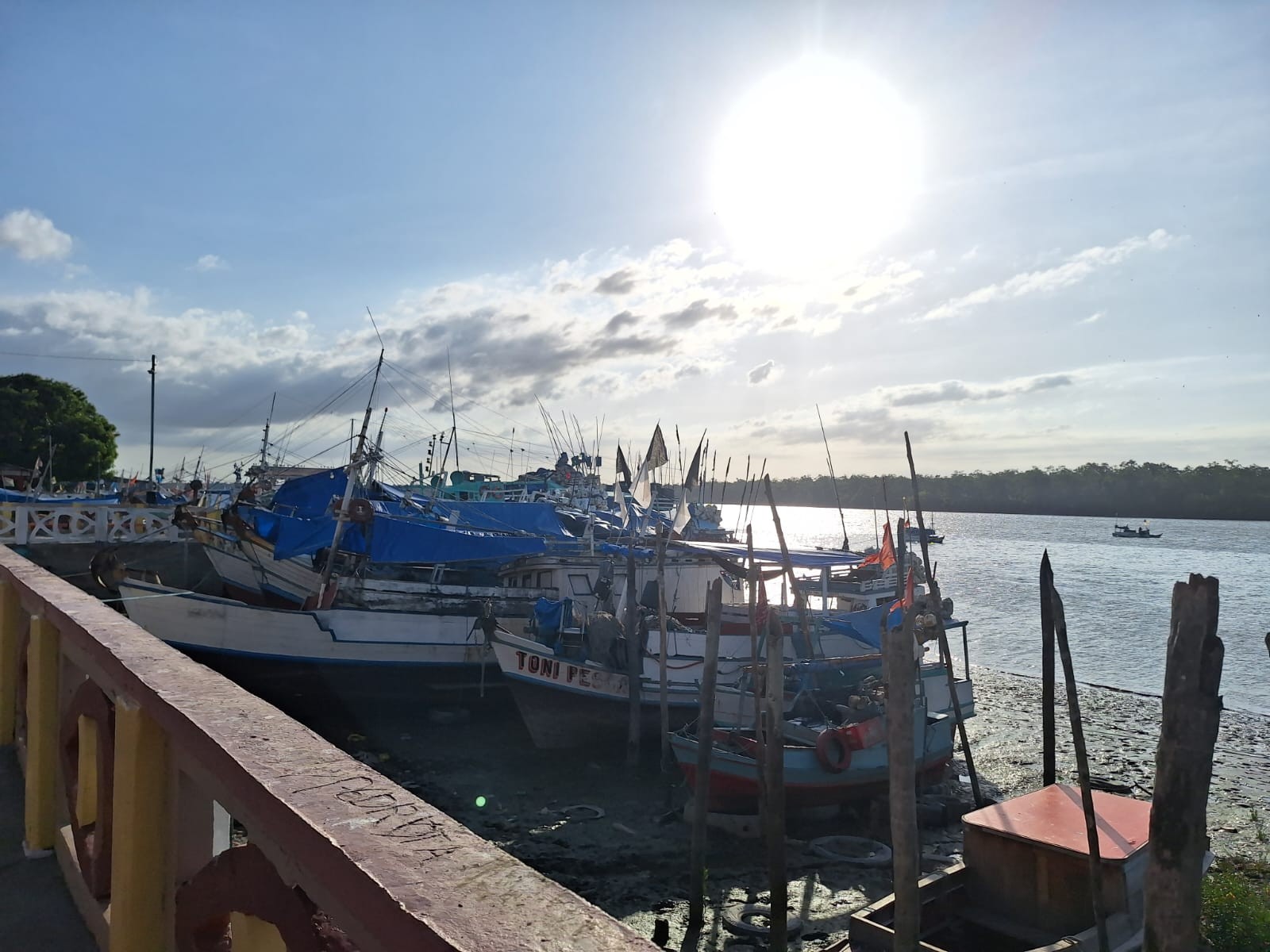Escalpelamento na Amazônia: mulheres têm cabelos arrancados por motores de barco em comunidades ribeirinhas