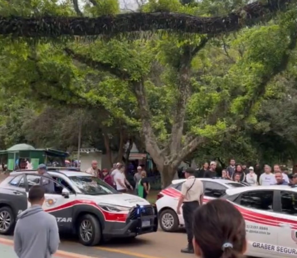 Jovem é preso por xingamentos racistas e agressão durante briga no Parque Ibirapuera, Zona Sul de SP