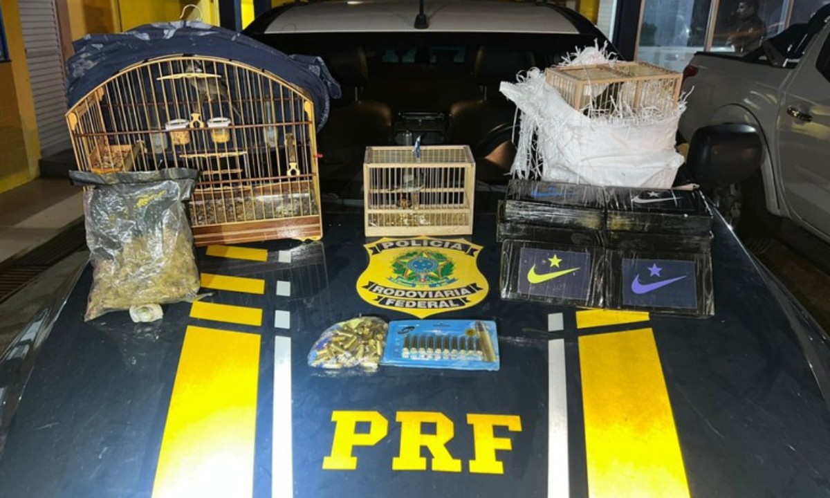 Mulher é presa em ônibus de turismo com drogas, munições, TV Box e aves silvestres na Bahia