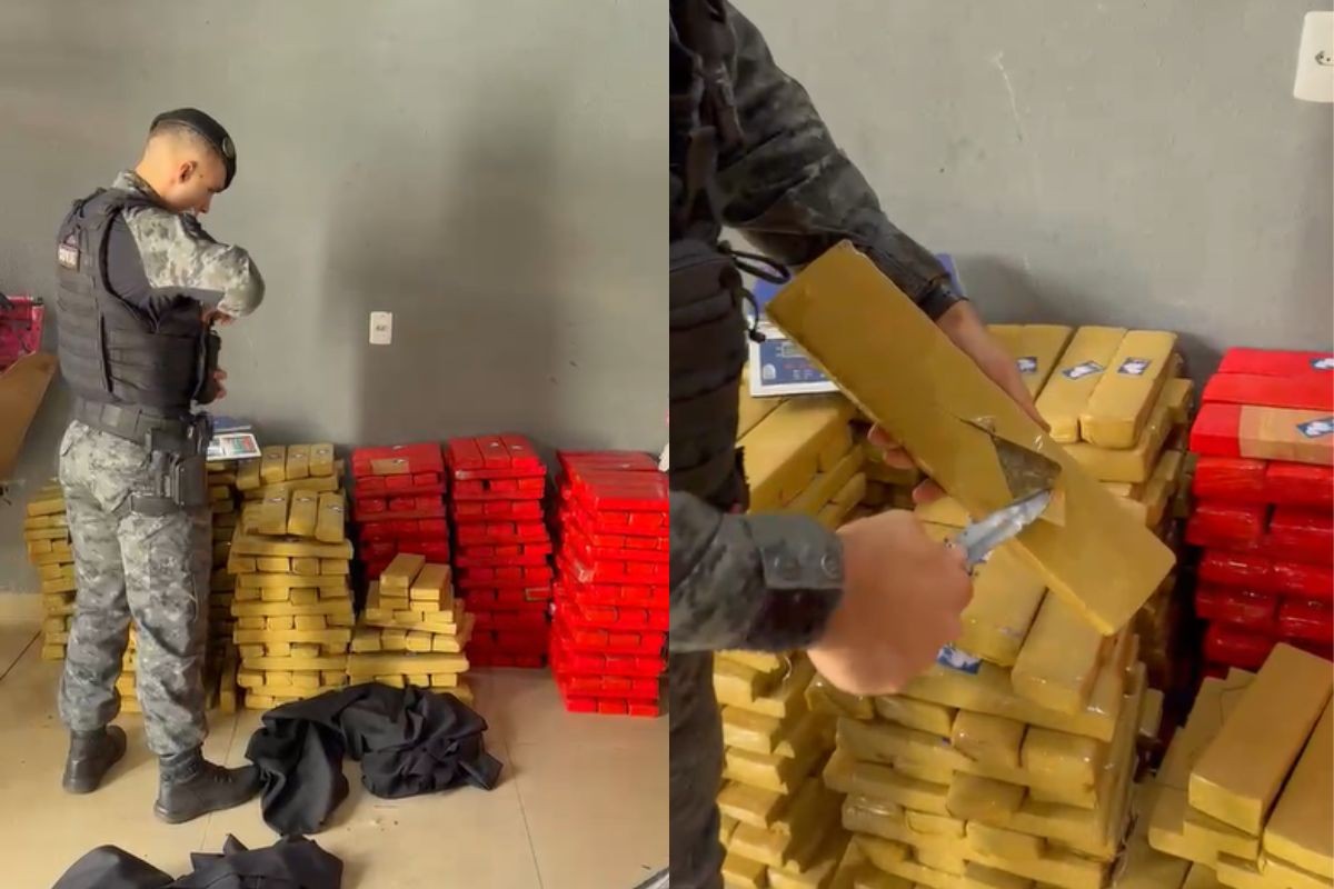 Mulher é presa com 486 kg de maconha escondidos nos fundos de casa em Campo Grande