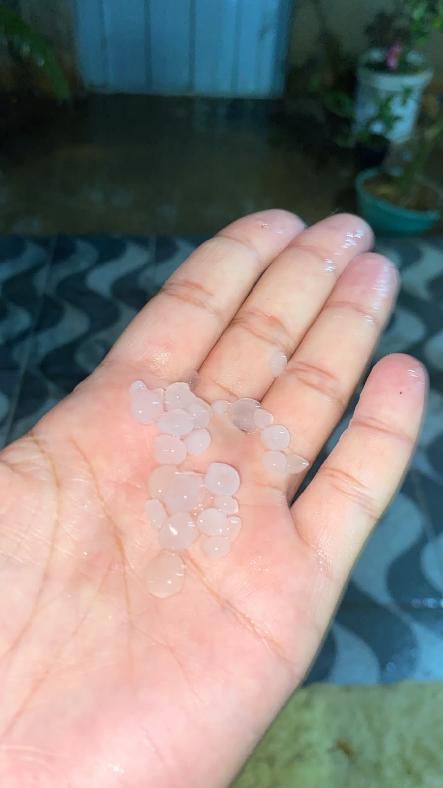 Chuva de Granizo impressiona moradores de povoado de Petrolina, no Sertão de PE