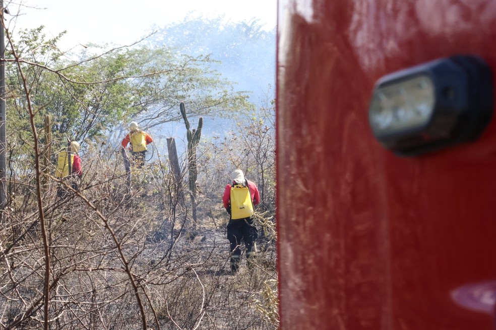 Incêndios em vegetação aumentam no RN — Foto: Divulgação / CBMRN