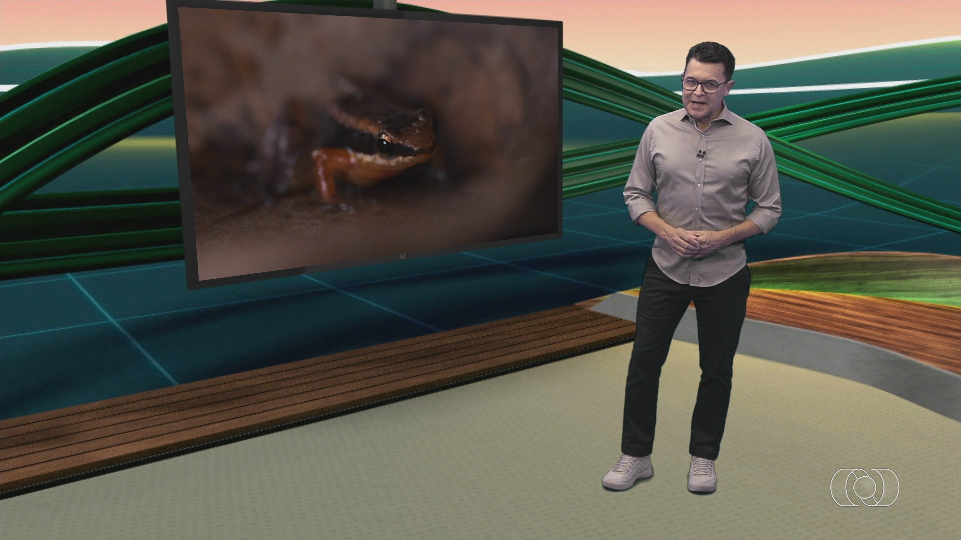 VÍDEOS: Jornal do Campo GO de domingo, 7 de abril de 2024