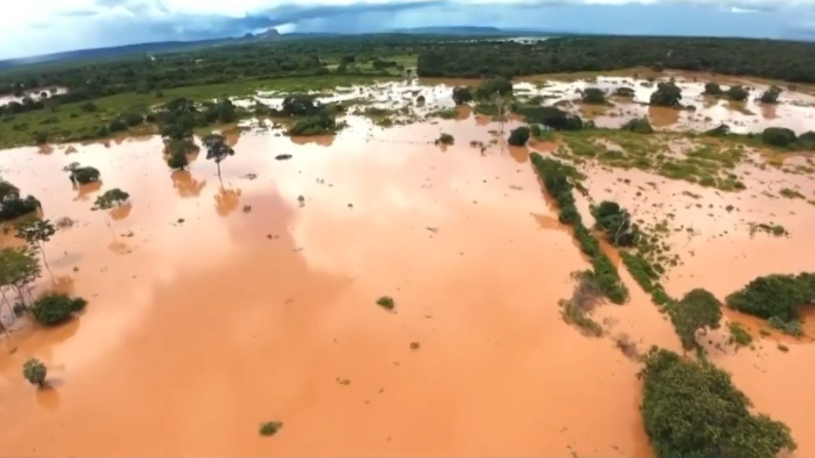 Imagem da notícia - G1