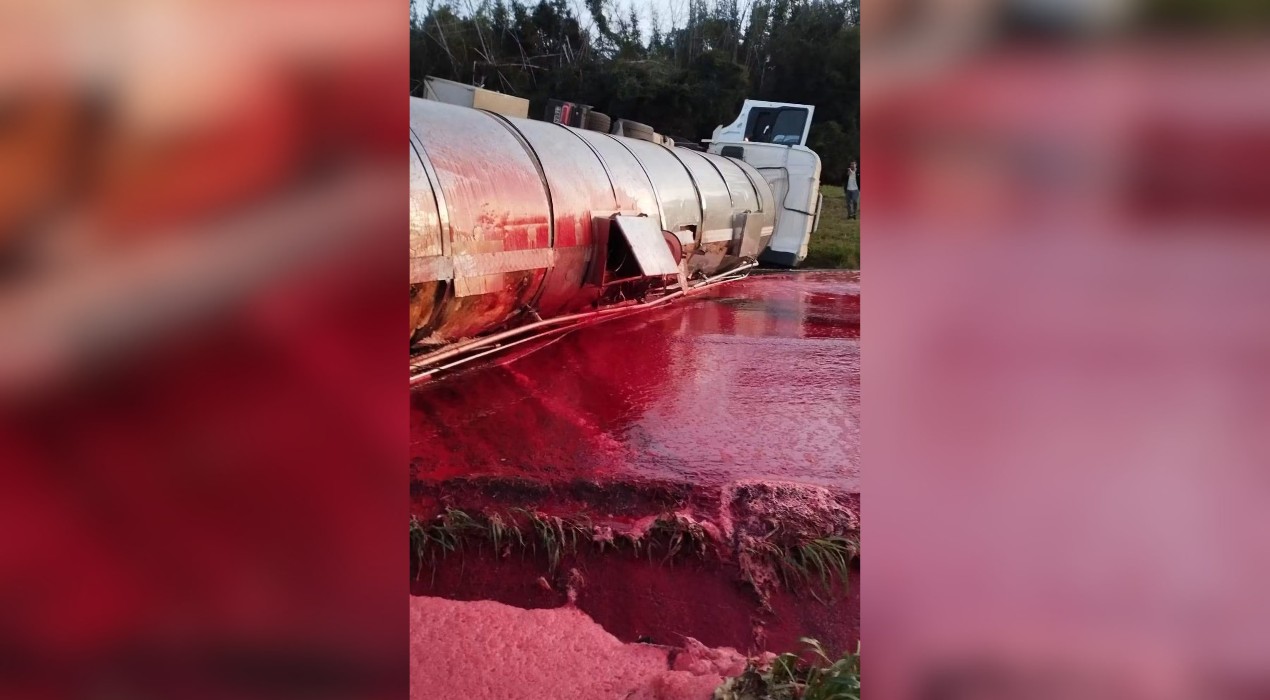 Carreta tomba, espalha sangue bovino na pista e trava Rodovia Marechal Rondon em Lençóis Paulista