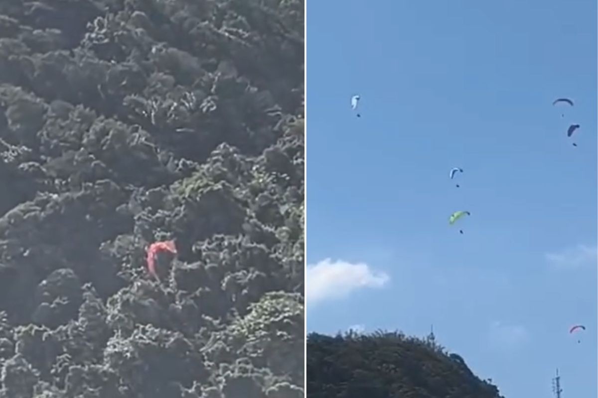 Piloto de parapente cai e fica preso em árvores no litoral de SP; VÍDEO