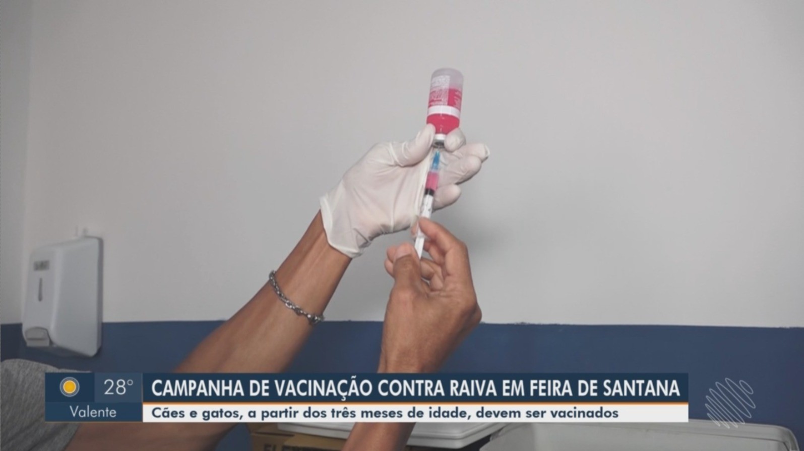 Vídeos do g1 e TV Subaé - segunda-feira, 11 de agosto de 2025