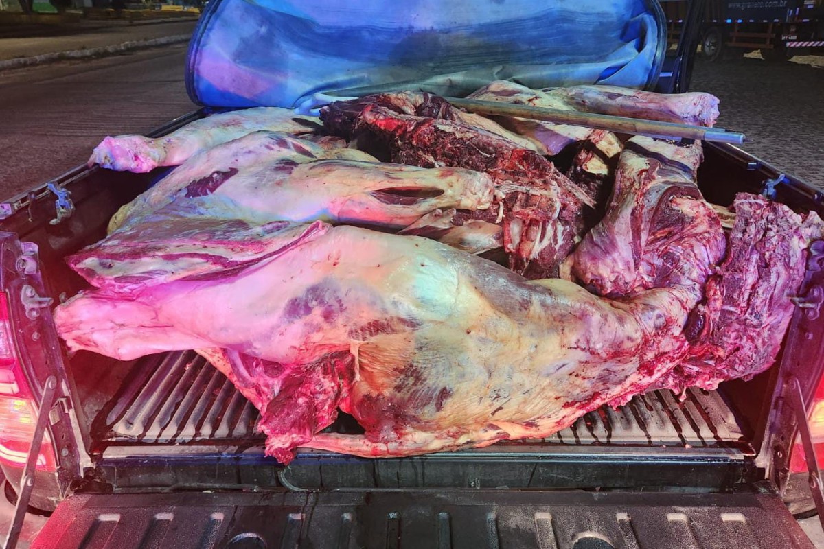 PRF apreende 800 kg de carne bovina transportada sem refrigeração na BR-423, em Garanhuns