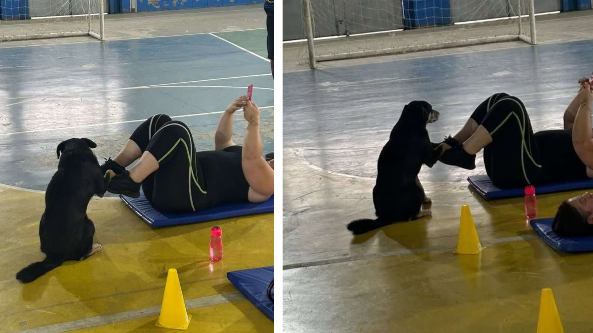 VÍDEO: cachorrinho 'participa' de aula de ginástica em Várzea Paulista
