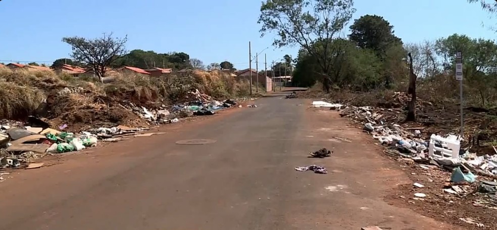 Denúncia de descarte irregular de lixo em Uberaba agora vale dinheiro — Foto: TV Integração/Reprodução